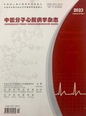 中国分子心脏病学杂志